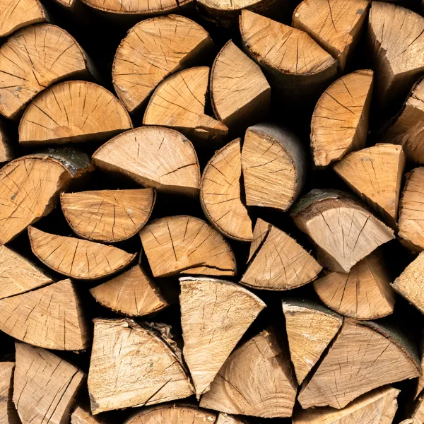 pile de bûches
